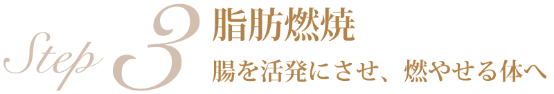 デトックスする